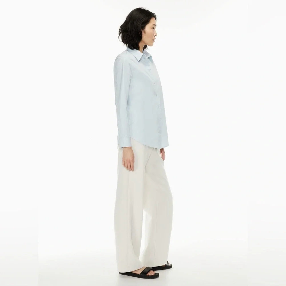 Aritzia Babaton essential classic shirt